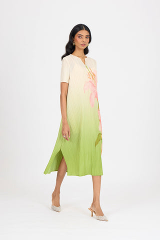 Vittoria Dress - Green Ombre