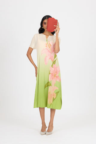 Vittoria Dress - Green Ombre