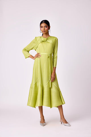Rose Dress - Lime Green