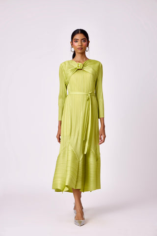 Rose Dress - Lime Green