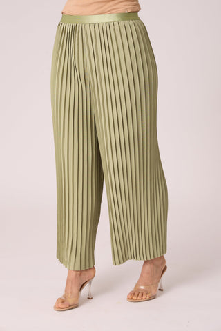 Sara Wide Pleat Pants - Fennel Beige